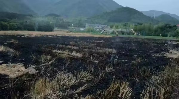 杭州一村民焚烧秸秆产生烟尘污染被罚：过火面积450平方米