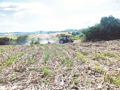 湖北京山市雁门口镇义和村玉米秸秆打捆机田间作业现场（荆门日报王久慈 郭重摄）